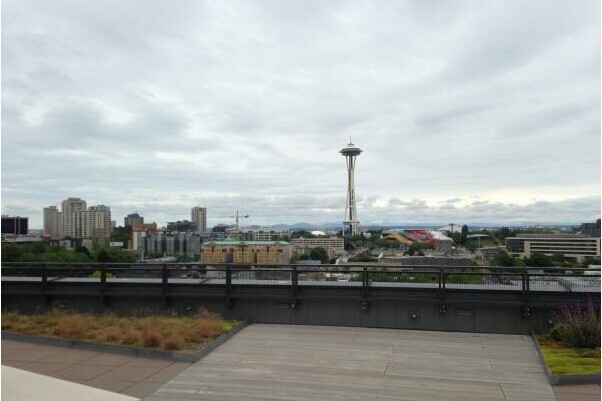 亞馬遜美國總部辦公室設(shè)計圖6