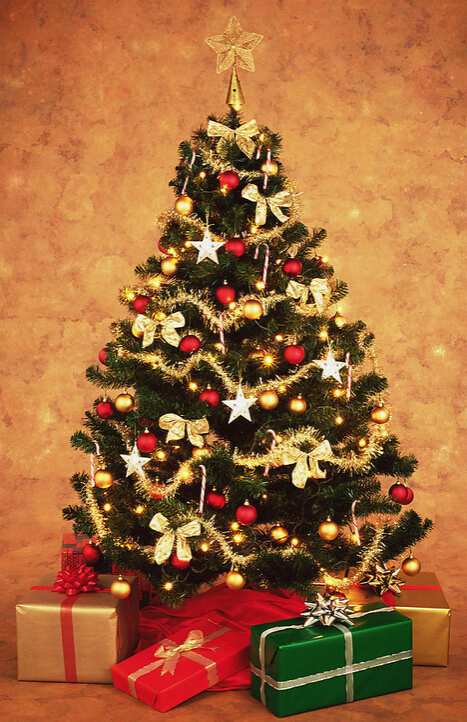 紅色的圣誕樹(shù)——表示喜慶到來(lái)